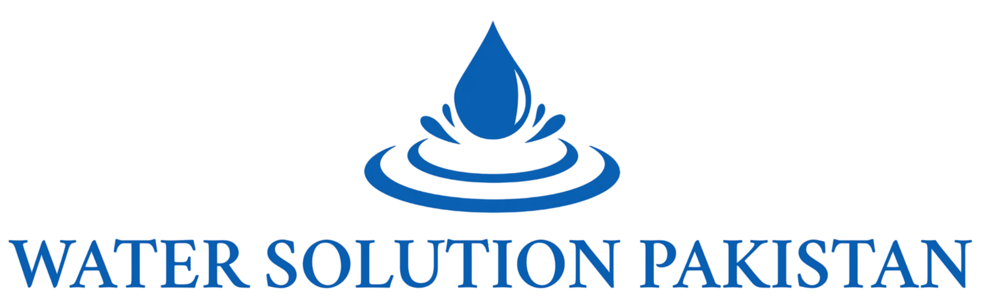 WSP Logo
